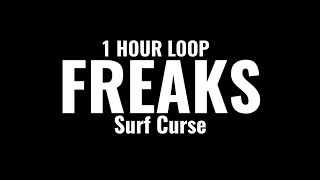 Surf Curse  Freaks 1 HOUR LOOP “I dream of you almost every night hopefully ” TikTok Song [upl. by Acinonrev]