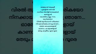 Veyil Chilla Song Lyrics  Zachariahyude Garbinikal  Aneesh Anwer  Jyotsna Radhakrishnan  Lal [upl. by Nwahc99]