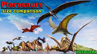 PTEROSAURS Size Comparison 🔥 Which PTEROSAURS is the biggest Size of Flying reptile species [upl. by Nottarts]