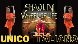 The Wheel of Life  Spettacolo monaci Shaolin in Italiano [upl. by Flavius582]