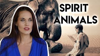 Spirit Animals What Is Your Spirit Animal and How To Find Your Spirit Animal [upl. by Nagol270]