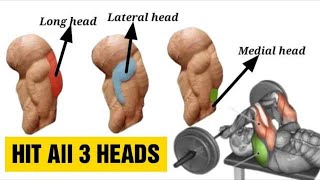 9 Best Triceps Workout for Every Head Hit all 3 heads  Fitkill [upl. by Colwen]