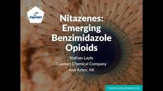 Nitazenes  Emerging Benzimidazole Opioids [upl. by Nereil]