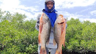 Pesca con Camarón Vivo con Piola y Tabla en Mano [upl. by Celie]