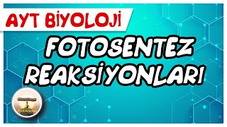 AYT Biyoloji  Fotosentez Reaksiyonları ışığa bağımlı evre sayfa162 [upl. by Thetos]