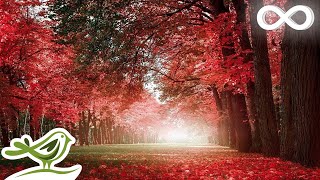 30 Minutes of Beautiful Romantic Music Guitar Music Violin Music Cello Music Piano Music ★74 [upl. by Tima391]