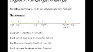 Ongesteld of zwanger [upl. by Nailliw]