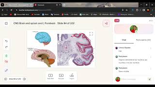 Telencephalon amp Diencephalon  Cerebral Cortex  lobs [upl. by Ytirev382]