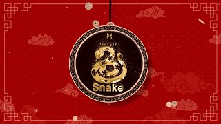 SNAKE Zodiac Forecast 2024  2024 属蛇生肖运势 [upl. by Tobye]