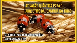 Ativação Quântica para o Arquétipo da Joaninha no Trigo  Se prepare para as mudanças em sua vida [upl. by Waldron]