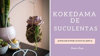 Como hacer un kokedama de suculentas [upl. by Anica]