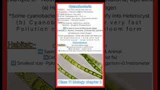 What is Cyanobacteriaclass 11 biology chapter 2 Cbsecynobacteriaeubacteriamycoplasmashorts [upl. by Leirrad]