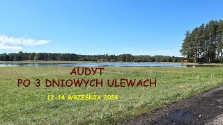 Przegląd rzek i rzeczek po 3 dniowych ulewach [upl. by Enimzzaj]