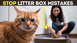 Critical Litter Box Mistakes Every Cat Owner Should Know [upl. by Gemina582]