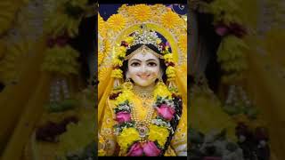 binodini rai❤️❤️🌿 Krishna bhajon 🌿 radhakrishnan status tending [upl. by Eskil]