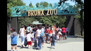 BRONX ZOO  FULL TOUR 2024 [upl. by Normi]