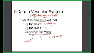 Hypertensive Medicines Pharmacology [upl. by Lonnard]