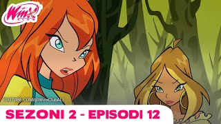 Winx Club Shqip  EPISODI I PLOTË  Uinks Përgjithmonë  Sezoni 2 Episodi 12 [upl. by Elockcin98]