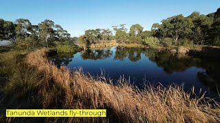 Tanunda Wetlands flythrough [upl. by Tatia]