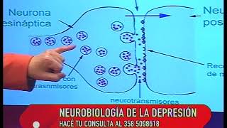 NEUROBIOLOGIA DE LA DEPRESIÓN [upl. by Nashom]