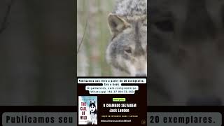 ebook grátis O CHAMADO SELVAGEM Jack London foryou historia ebookgratuito [upl. by Plusch]