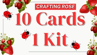 10 Cards 1 Kit featuring Echo Park Cardmaker Kit  Little Ladybug [upl. by Ellery]