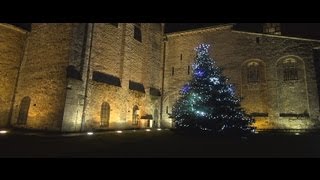 Nivelles Le plus grand Marché de Noël du Brabant Wallon [upl. by Fernas10]