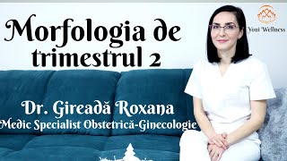 S1Ep28 Morfologia fetală de Trimestrul 2  Posibile Malformații sau Anomalii  Dr Roxana Gireadă [upl. by Lorenza]