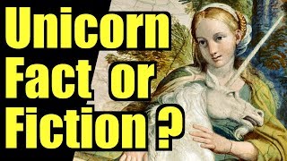 Unicorn Videos Fact or Fiction [upl. by Monney]