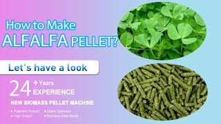 How to Make Alfalfa Pellets with Alfalfa Pellet Mill  YULONG [upl. by Leal]