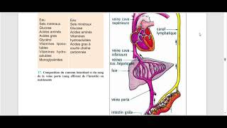 revision3eme sciences Devoir synthese 2 [upl. by Zachery]