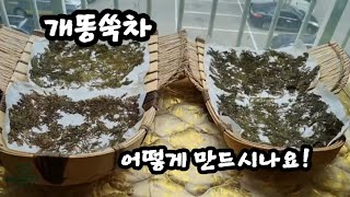 219개똥쑥차 어떻게 만드세요wormwood tea [upl. by Masson416]