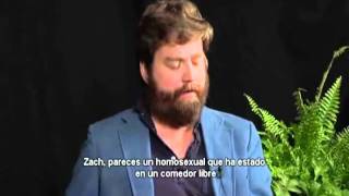 Between Two Ferns with Zach Galifianakis Steve Carell Sub Español [upl. by Gregson]