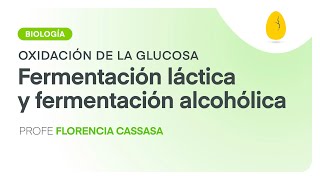 Fermentación láctica y alcohólica  Biología  Oxidación de la glucosa  V8  Egg Educación [upl. by Warp383]