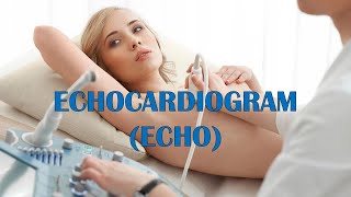 Echocardiogram Echo  Types Indications Patient Preparation Procedure Risks amp Complications [upl. by Ayad]