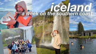 ICELAND VLOG 🇮🇸 reykjavik the secret lagoon puffins glacier hike the golden circle cat cafes [upl. by Nydia]