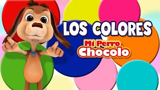 MI PERRO CHOCOLO APRENDE  LOS COLORES EN ESPAÑOL E INGLÉS [upl. by Ree]