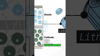 Exploring the Components of Battery Cells Cathode Anode and Electrolyte [upl. by Kuhn188]