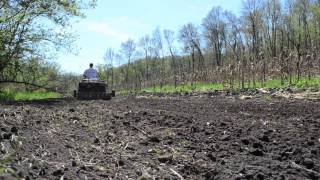 Deer Food Plots in Seven Easy Steps  Tractor Supply Co [upl. by Nivri]