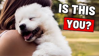 12 Unmistakable Signs That You Are a GREAT Dog Owner Your Dog Secretly Thanks You [upl. by Doelling989]