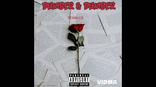 STARLUII  Dumber amp Dumber official Audio [upl. by Anitra]