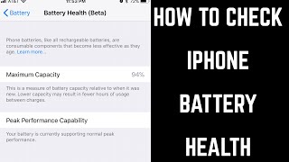 How to Check the REAL Battery Health of ANY iPhone [upl. by Saraiya]