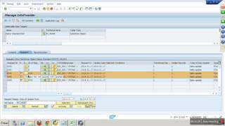 DSO DataMart Mechanism [upl. by Garik]