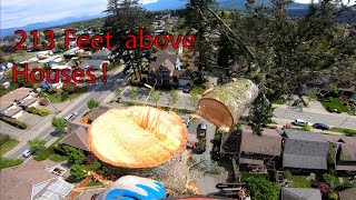 Big Tree Removal over 200 feet 65m Canada [upl. by Jacobs]