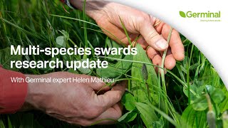 MultiSpecies Swards Research Update  Herbal Leys [upl. by Manno]