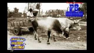 Historia del Jaripeo Charreria Rodeo americano y de Rcho La Herradura [upl. by Laurentium]