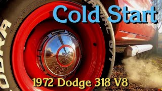 Mopar ASMR V8 Cold Start  Hoosier Garage [upl. by Sissel]