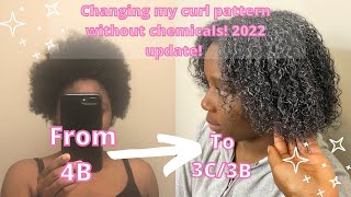 Winter 2022 Hair Update Dissect With Me My Heat Trained Curls 4b to 3c Hair Plan and Hair Health [upl. by Dunseath]