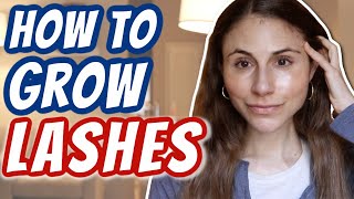 How to GROW LASHES Dr Dray [upl. by Nnairrek]