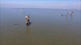 SS Richard Montgomery by drone [upl. by Jonna]